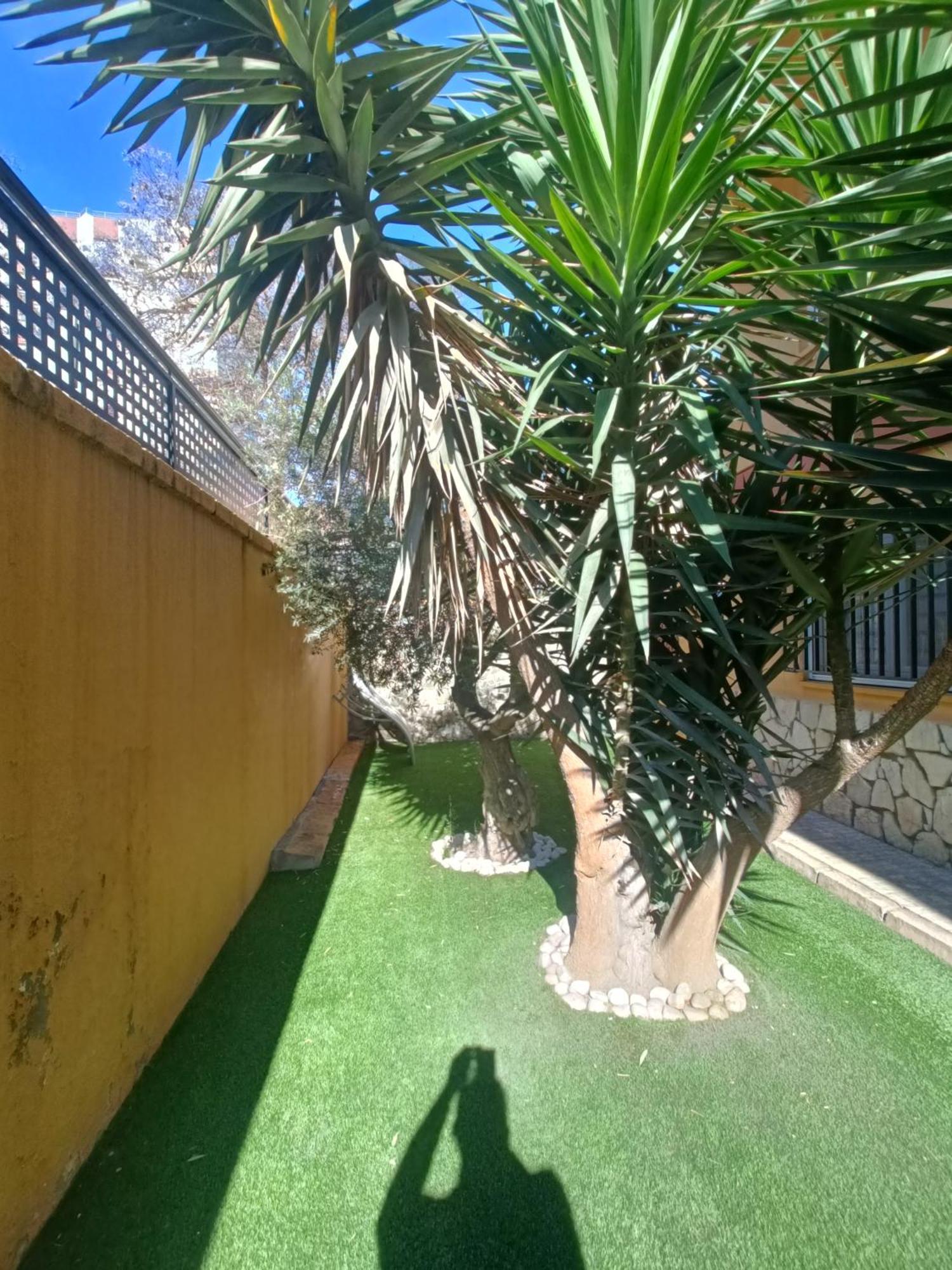 Beach&Garden Málaga Dış mekan fotoğraf